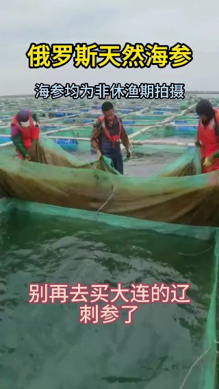 素材截图