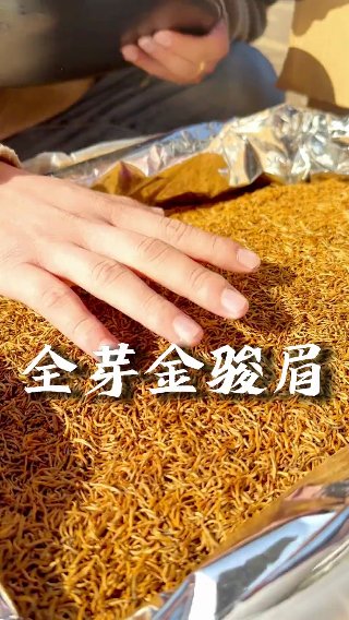 素材截图