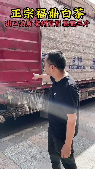 素材截图