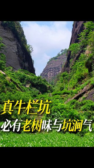 素材截图