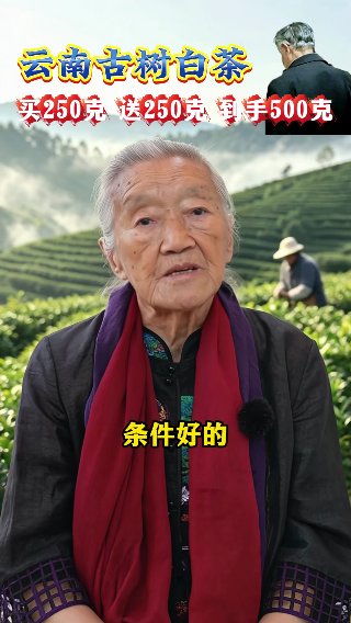 素材截图