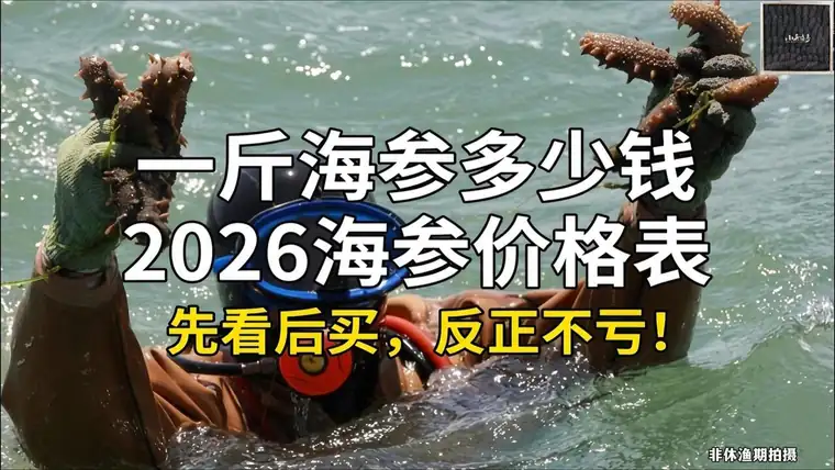 横版大图素材