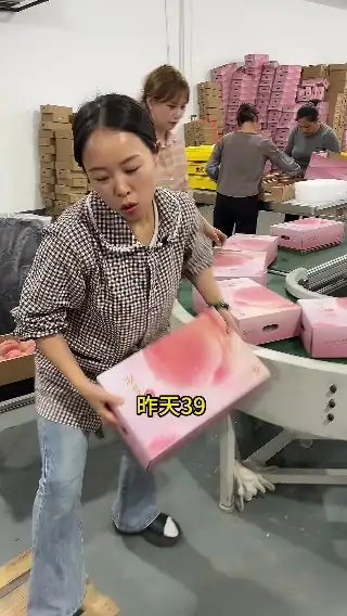 素材截图