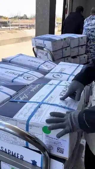 素材截图