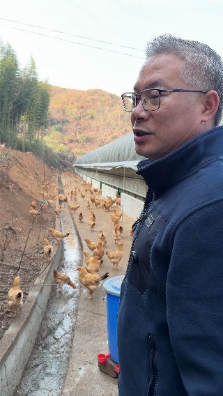 素材截图