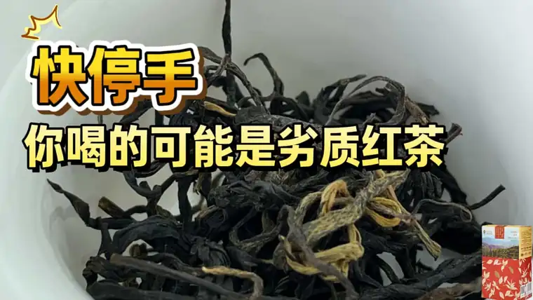 横版大图素材